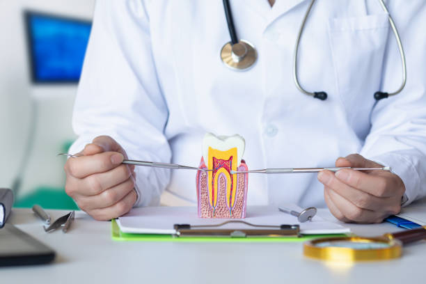 Best Emergency Treatment for Oral Infections in Bret Harte, CA